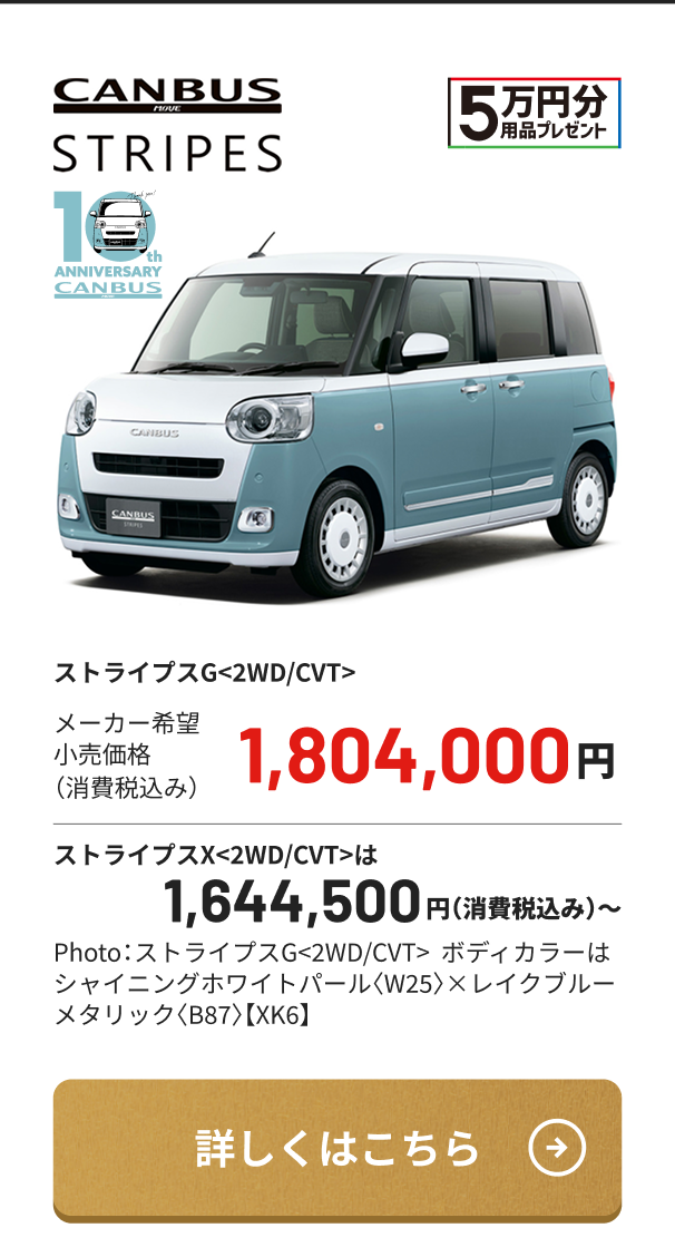 CANBUS STRIPES